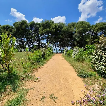 Du 63 Holiday home Olonzac