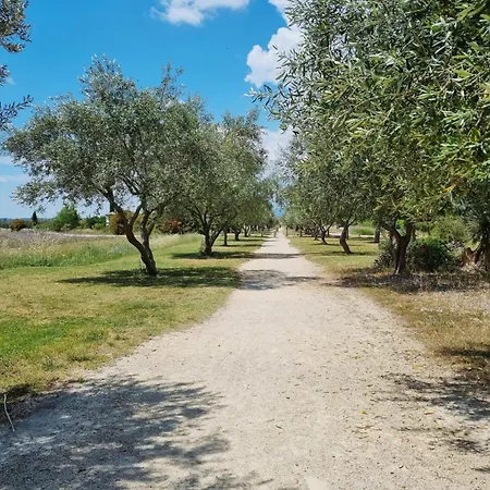 Du 63 بيت للعطل *