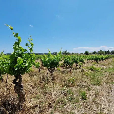 Du 63 بيت للعطل